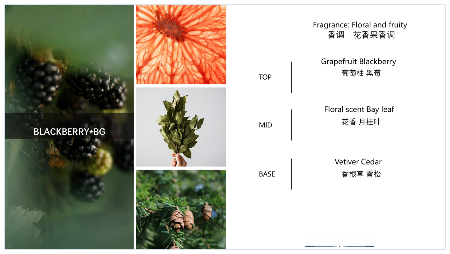 BLACKBERRY | Floral Fruity Fragrance Oil  5ML