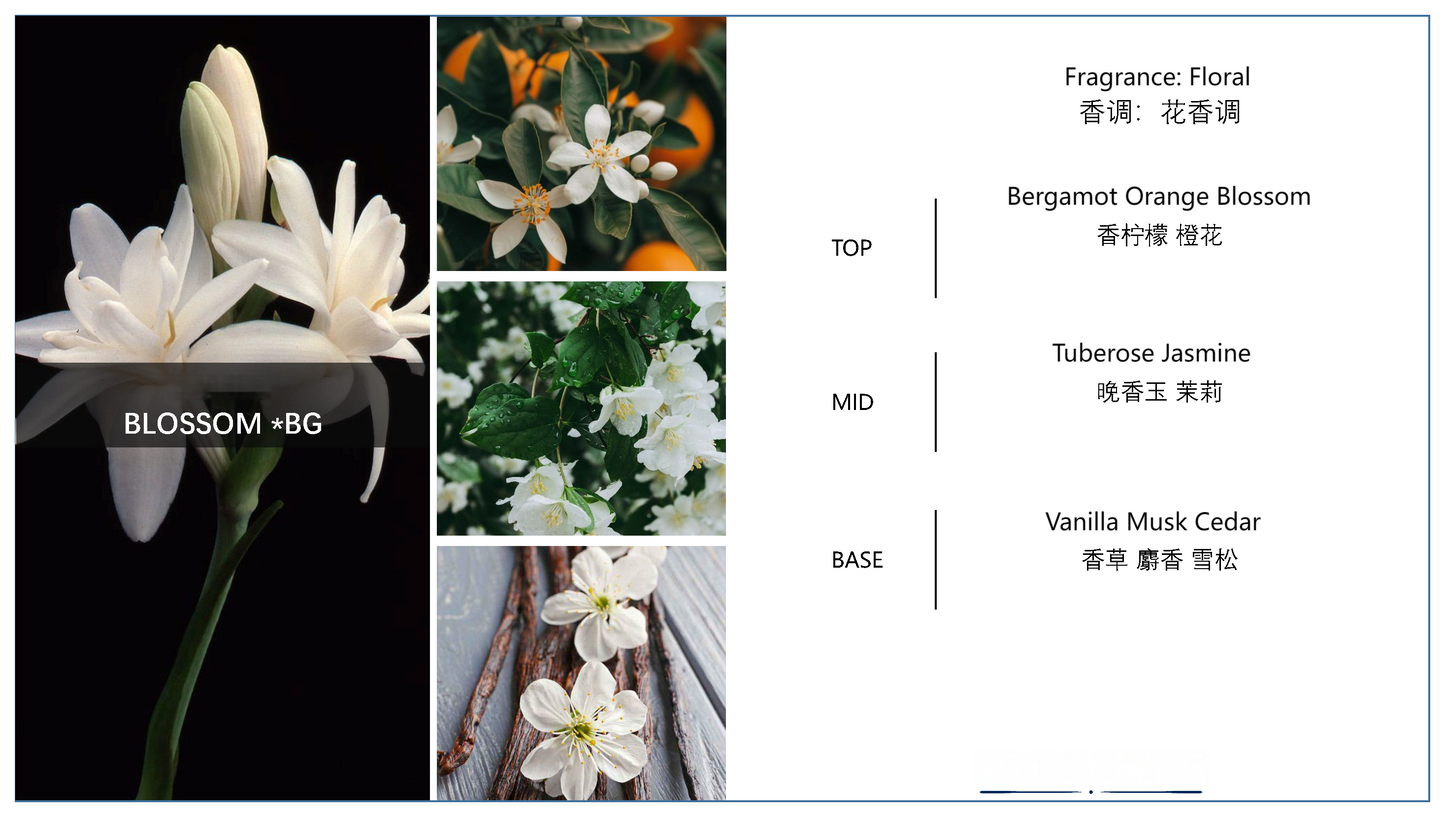 BLOSSOM · Elegant Floral Essence