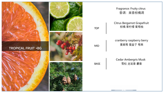 TROPICAL FRUIT | Fruity Citrus Fragrance Oil   5ML