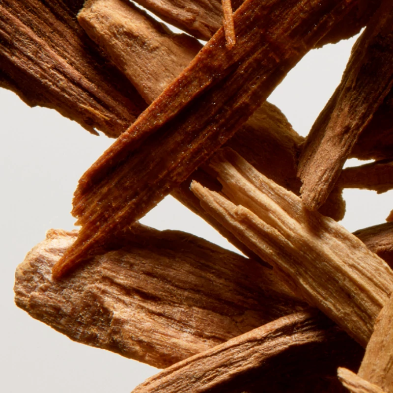 From Sculpture to Candle: The Artistic Essence of GAVSAI