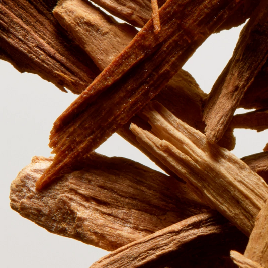 From Sculpture to Candle: The Artistic Essence of GAVSAI