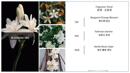 Floral Dawn Glow Sculptural Candle 444g | Handcrafted Soy Wax Luxury Floral Gift