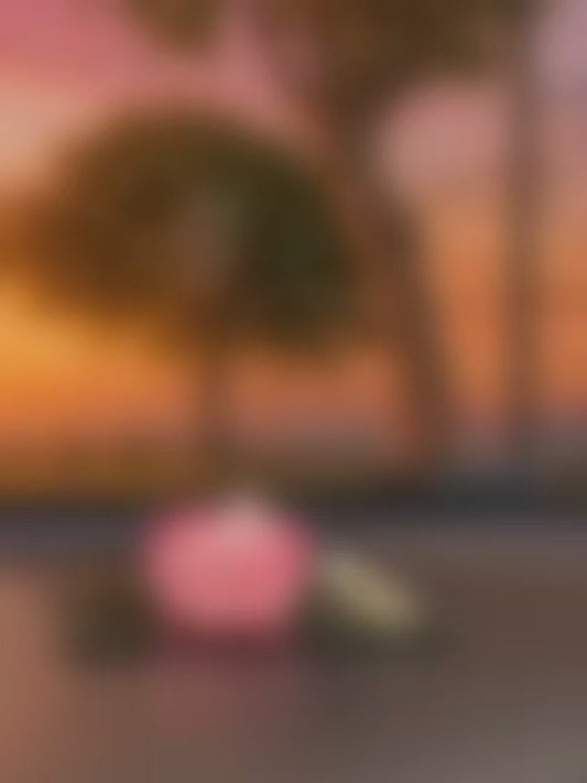 GAVSAI 5ML Car Fragrance Oil | Premium Long-lasting Car Scent | French Luxury Fragrances | Ideal for Multiple Settings